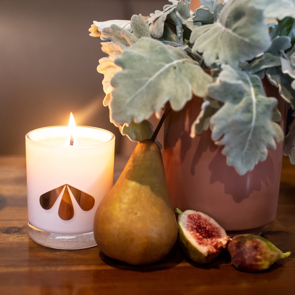 Calm + Bright - Day 3