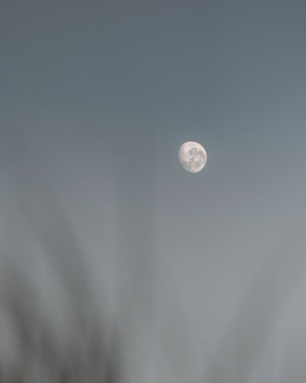 A Simple Ritual to Reset: How Palo Santo Can Bring Calm to Your Space